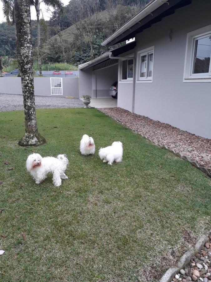 Benedicto Inn Benedito Novo