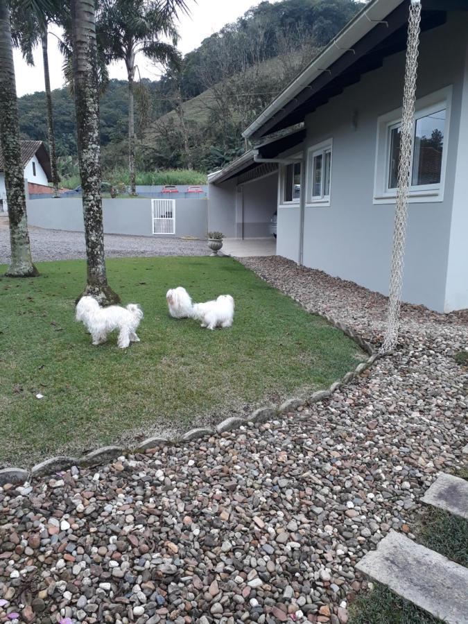 Benedicto Inn Benedito Novo